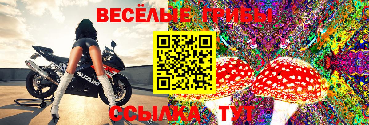 Алатырь  Галлюциногенные грибы ЛСД  Галлюциногенные грибы GOLDEN TEACHER  Вход с VPN 